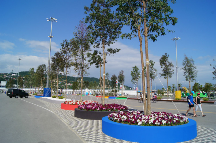 DSC03209